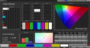 CalMAN color space sRGB – external display