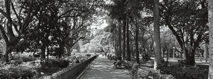 XPan mode monochrome