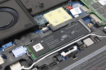 Occupied SSD slot near the center. Dell offers an optional small hatch on the bottom plate for easier access to this drive without needing to remove the entire bottom plate