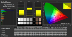 CalMAN - Color Checker (calibrated)