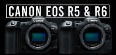 The new Canon EOS R5 and R6. (Source: Canon)