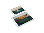 Look-alike iPads could be used as bombs aboard flights. (Source: Apple)