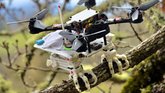 The SNAG robot bird uses biomimicry to perch (image: Stanford)