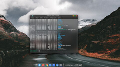 Br OS desktop with a Terminal window (Image source: Br OS)