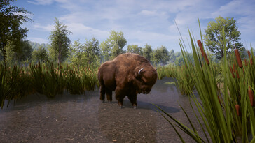 An image showing a wisent in Medieval Dynasty.
