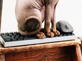 Wallhack is entering the market for gaming keyboards and mice.