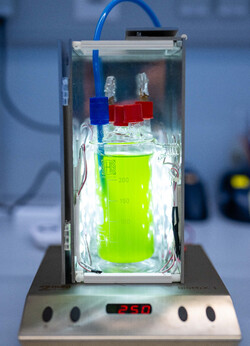 The desired bacteria are cultivated in the photobioreactor. (Image source: Fraunhofer FEP)