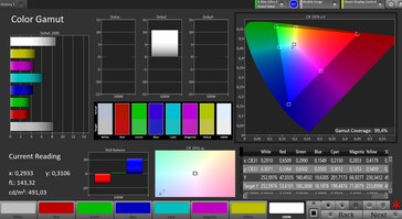 CalMan color space (target color space: sRGB)