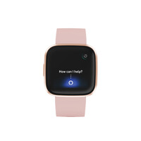 검토 : Fitbit Versa 2