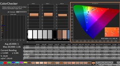 CalMAN: ColorChecker (calibrated)