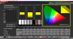 CalMAN ColorChecker (profile: P3, target color space: P3)