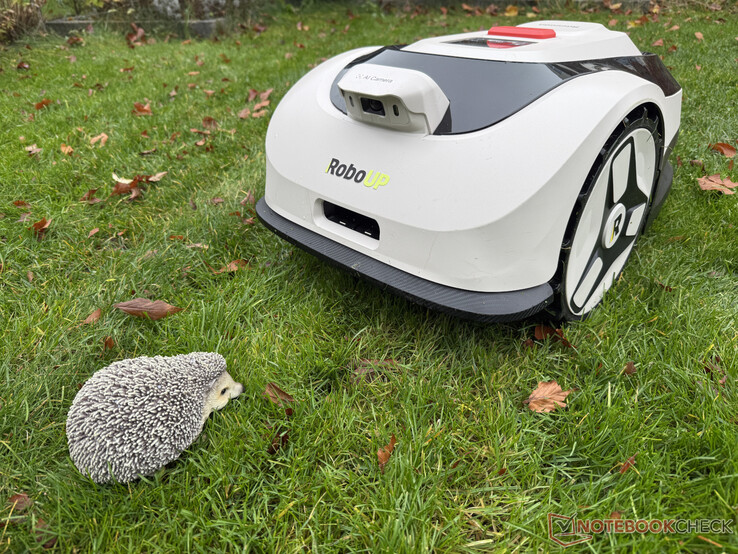 The Raccoon 2 SE did not always recognize our hedgehog dummy in the test