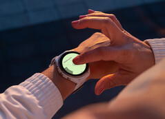 The Forerunner 965 has not reached a new stable update since late last year. (Image source: Garmin)