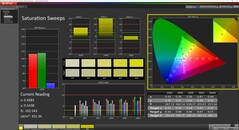 CalMAN Saturation (Profile: Native)