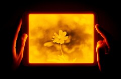 The Daylight Tablet uses a reflective LCD to protect the eyes. (Image: Daylight Tablet)