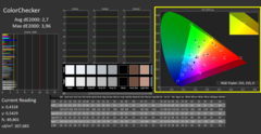 CalMAN: ColorChecker (calibrated)