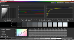 Grayscale before calibration (target color space sRGB)