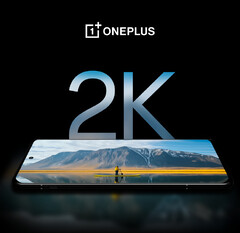 The OnePlus 12 is said to have the best smartphone display around, at least according to OnePlus. (Image source: OnePlus)