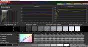 Grayscales (Adaptive display, target color range: Adobe RGB)