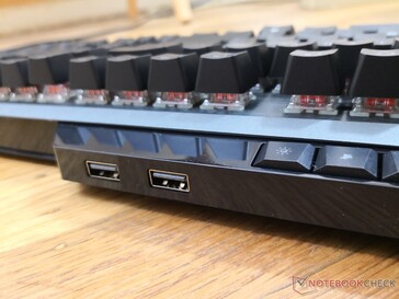 2x USB-A ports along the rear