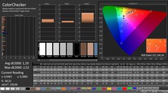 CalMAN: ColorChecker (calibrated)