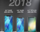 Rumors point to three iPhone X-like models from Apple in 2018. (Source: KGI Securities)