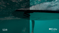 Some Vimeo fans may now be able to access this upgrade. (Source: Vimeo)