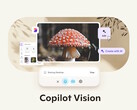 Microsoft Copilot Vision on Windows with Highlights allows the Copilot AI to see and interact with visible information and apps. (Image source: Microsoft)