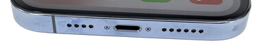 Bottom: microphone, Lightning port, speaker