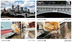 An apparent example of what the 108 MP camera in the Mi 10 series can offer. (Image source: Xiaomi via Weibo &amp; GSMArena)