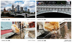 An apparent example of what the 108 MP camera in the Mi 10 series can offer. (Image source: Xiaomi via Weibo & GSMArena)