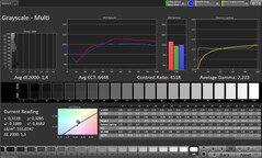 Grayscale (profile: Professional, target color space: sRGB)