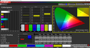 CalMAN professional color space