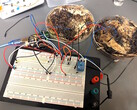 Two mushroom memory cells were attached to an Arduino UNO microcontroller development board for testing. (Image source: LaRocco, J. et al. via PLOS One)