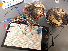 Two mushroom memory cells were attached to an Arduino UNO microcontroller development board for testing. (Image source: LaRocco, J. et al. via PLOS One)