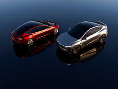 The Tesla Model Y SUV and Model 3 electric sedan.