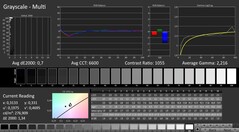 CalMAN: grayscale (calibrated)