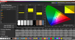 CalMAN ColorChecker (target color space sRGB)