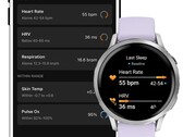 The Health Status uses a previously obtained measurement range for quick classification. (Symbolic image, image source: Garmin)