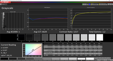 CalMAN Grayscale macOS (target color space sRGB)