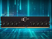 The new Elite U-DIMM DDR5 RAM. (Source: TeamGroup)