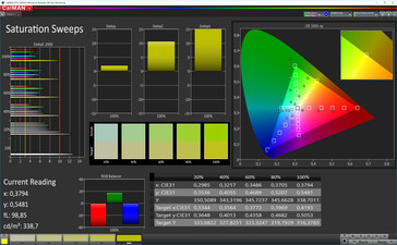 CalMAN: Colour saturation – sRGB target colour space