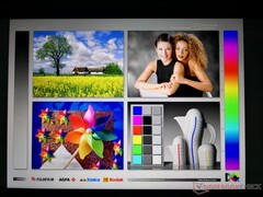 Wide IPS viewing angles. Colors and contrast degrade from extreme angles