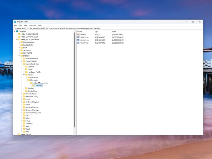 This is how the corresponding registry path looks after adding the three entries.