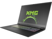 Schenker XMG Pro 17 with RTX 3080 (Clevo PC70HS) review: A throttled ultra-slim gaming laptop and workstation in one