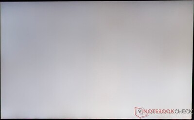 No prominent backlight bleed