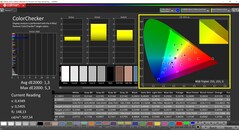 CalMAN ColorChecker (target color space P3)