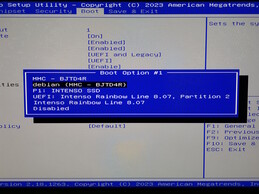 Boot from the BIOS on a USB stick...