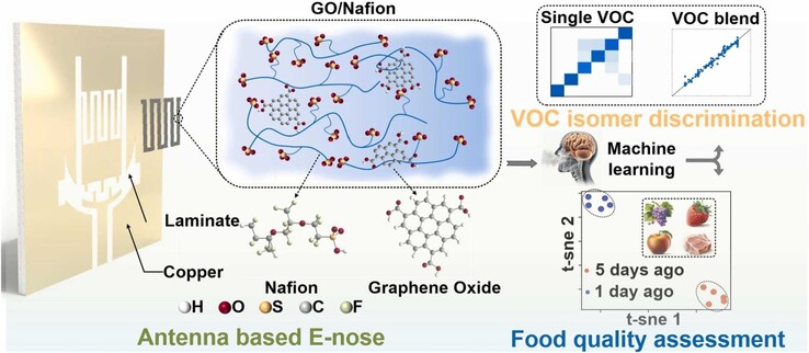 A graphical abstract of the graphene-oxide coated single antenna sensor. (Image source: ScienceDirect)
