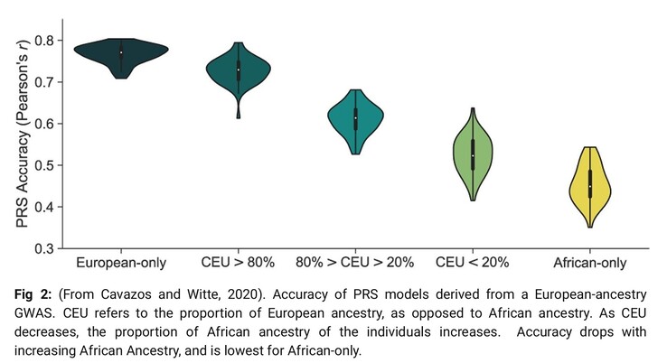 Chief science and medical officer P. Yazdi acknowledges that ancestry affects accuracy of risk scores because current DNA data is mostly from Europeans. (Image source: Omics Edge)
